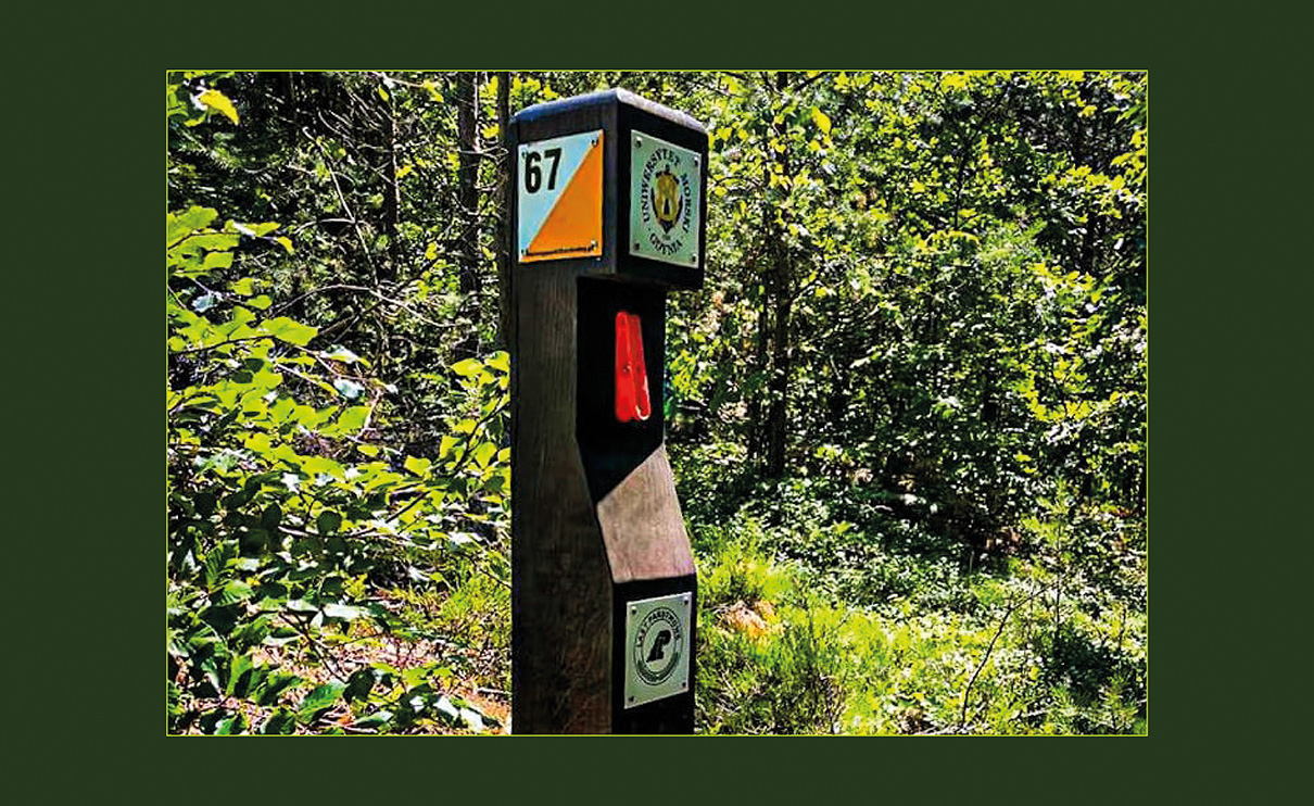 Otwieramy \"Zielony Punkt Kontrolny – Uniwersytet Morski w Gdyni\"