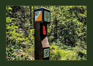 Otwieramy \"Zielony Punkt Kontrolny – Uniwersytet Morski w Gdyni\"