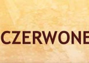 logo Stowarzyszenia