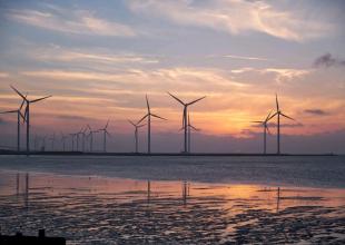 Executive Offshore Wind MBA; CMEW; morska energetyka wiatrowa