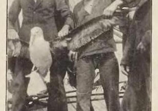 Tadeusz Meissner trzymający za skrzydło albatrosa