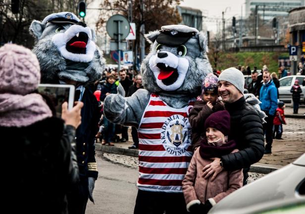 Wilki morskie, fot. Kamil Dopke Wilki morskie, fot. Kamil Dopke