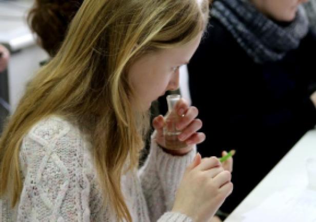 Wizyta uczniów w AMG, fot. Magdalena Zajk